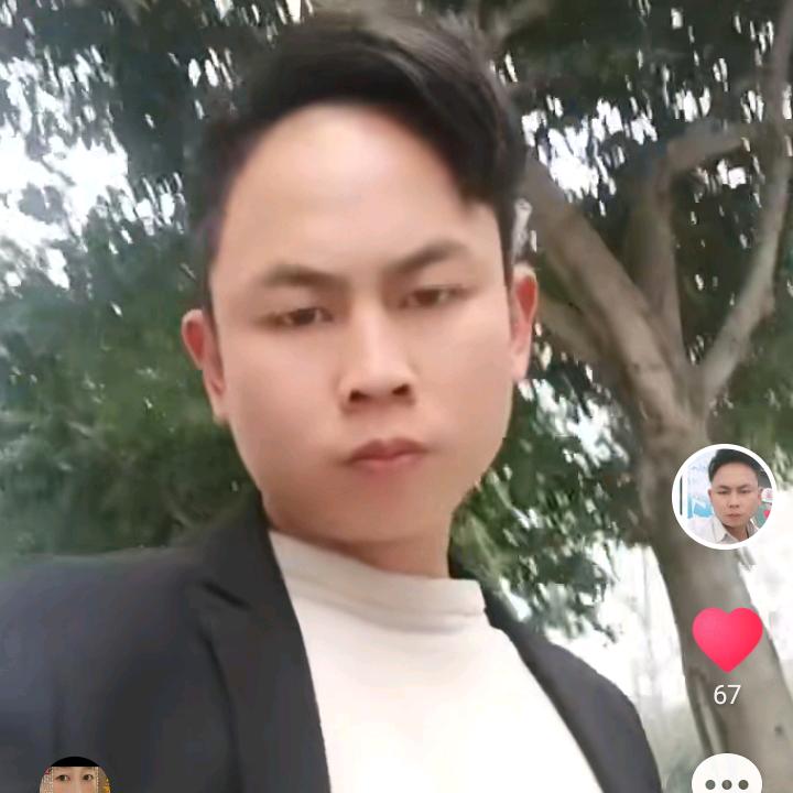 清雅竹清