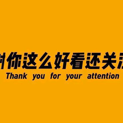 爱玩游戏的胖虎