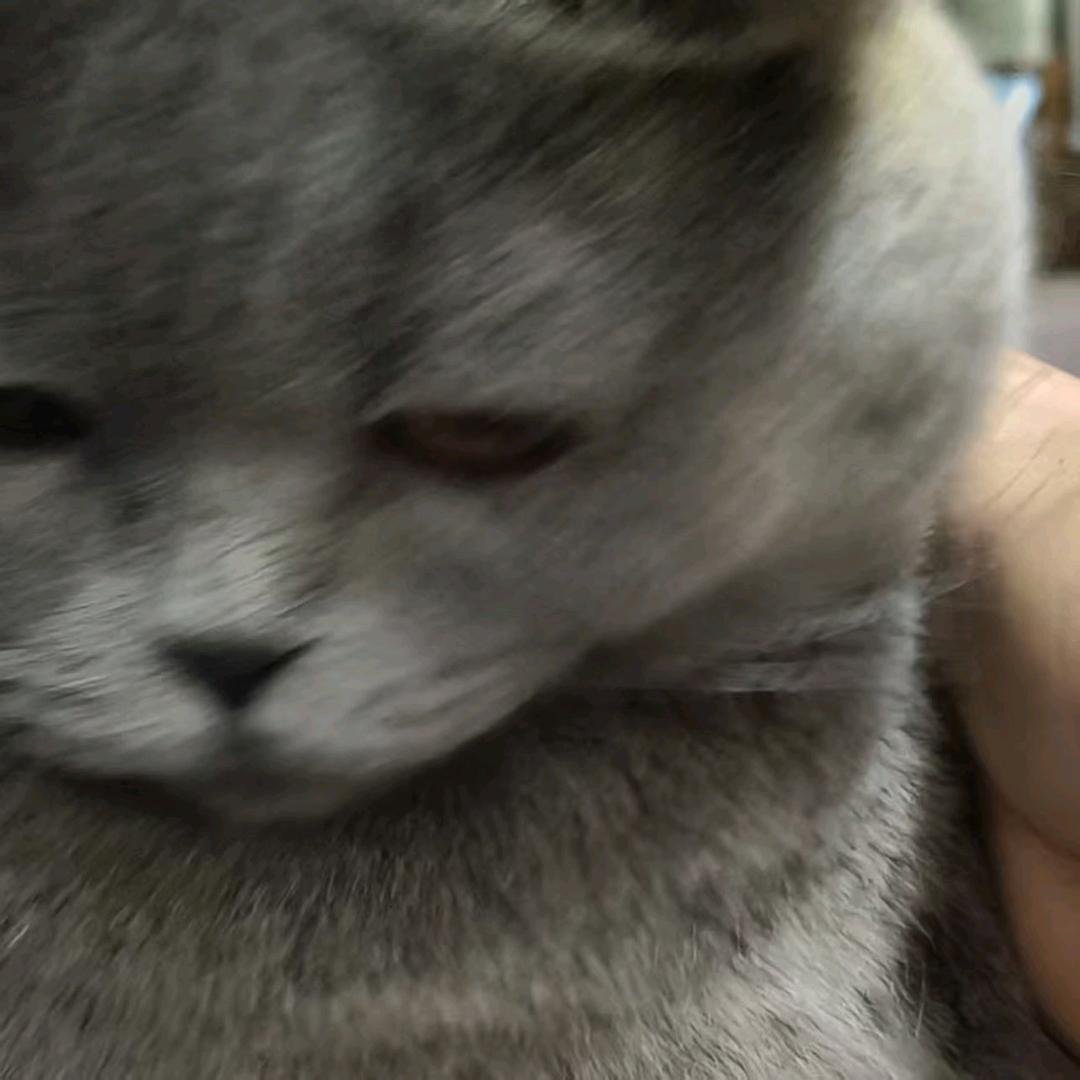 流烟儿
