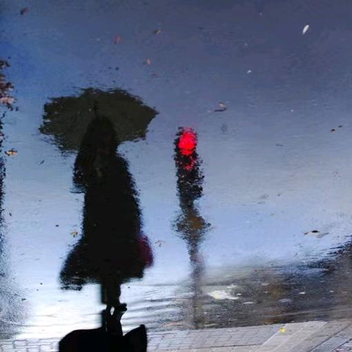 清晨的☔️雨☔️