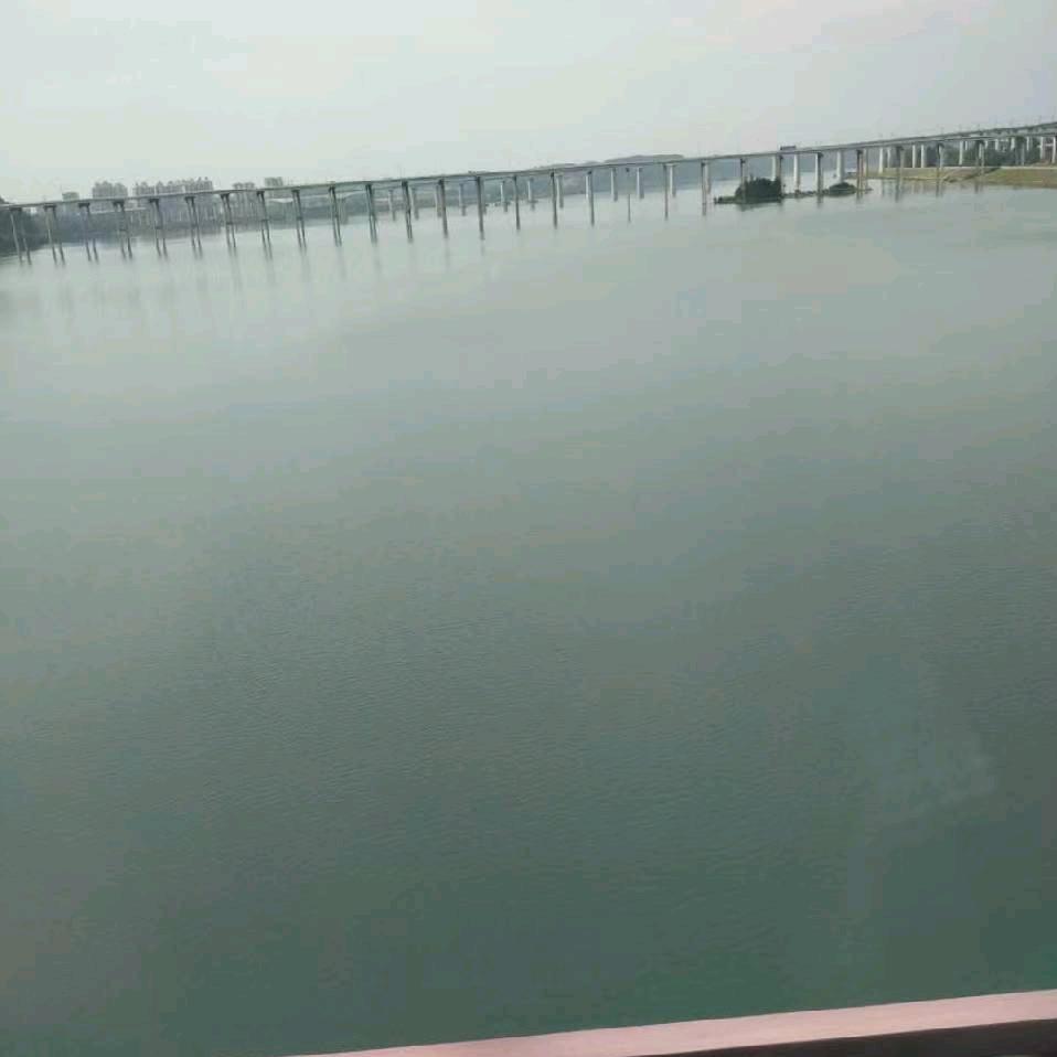 雷励风行