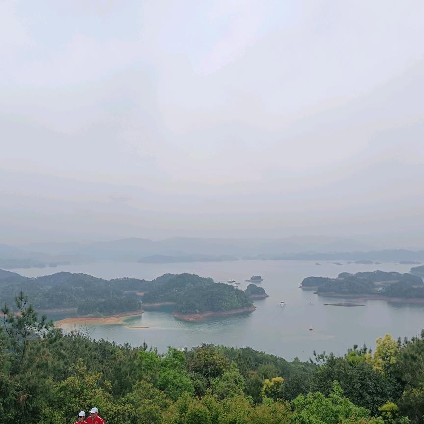 桂花桂花