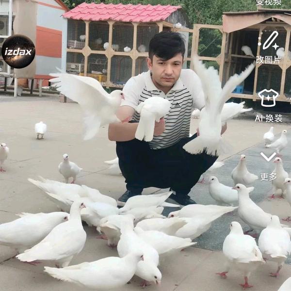 💗孤独的心💗