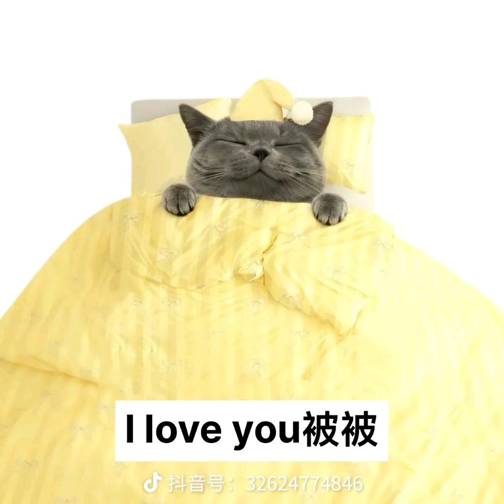 每天都要开心