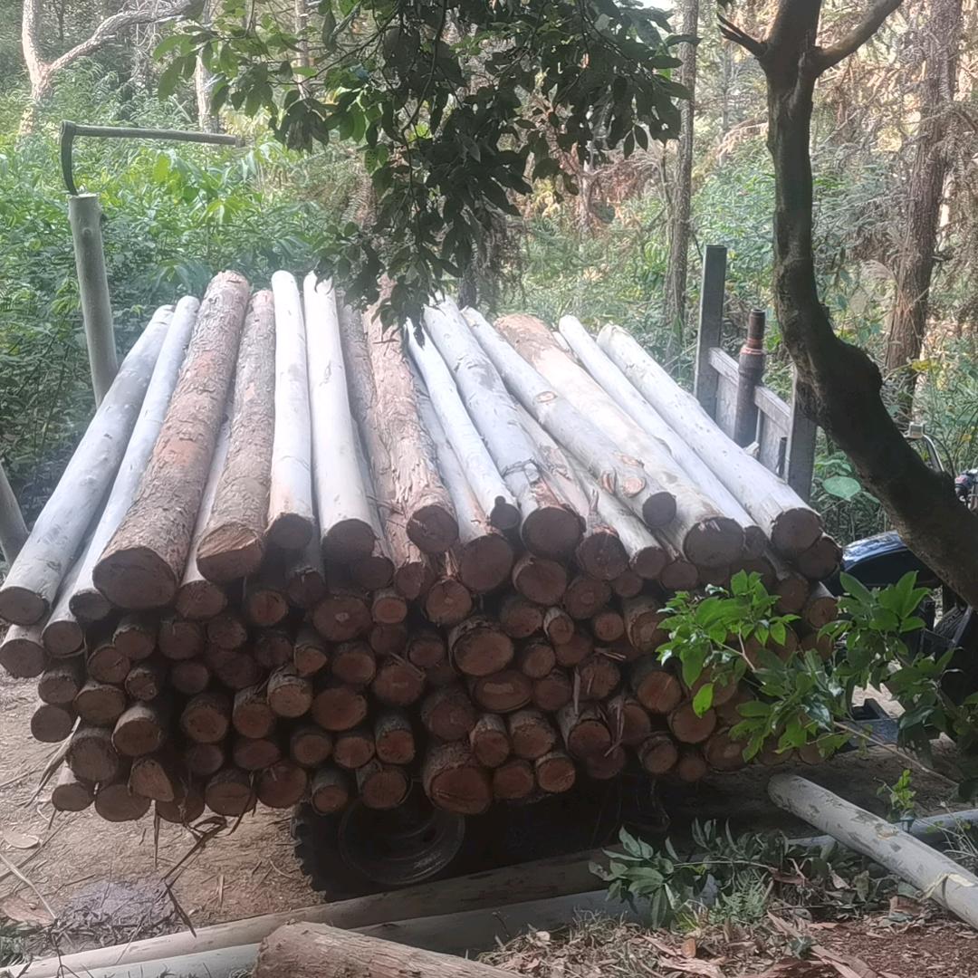 广西桂平市，抖音王