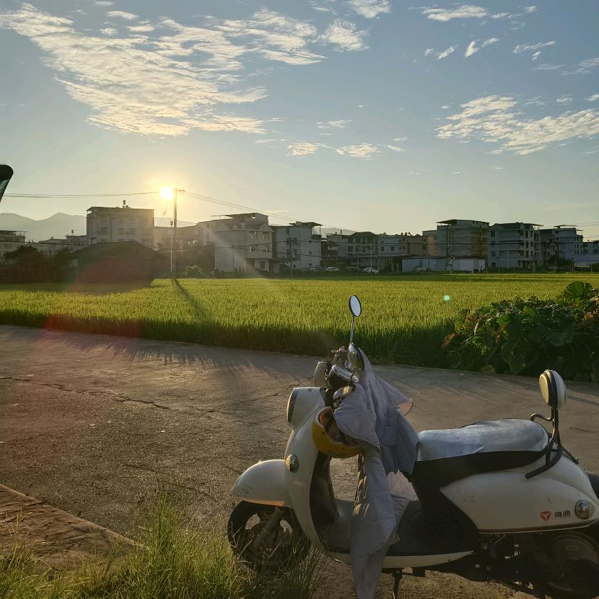 小猫碎碎念⌯'Ⱉ'⌯