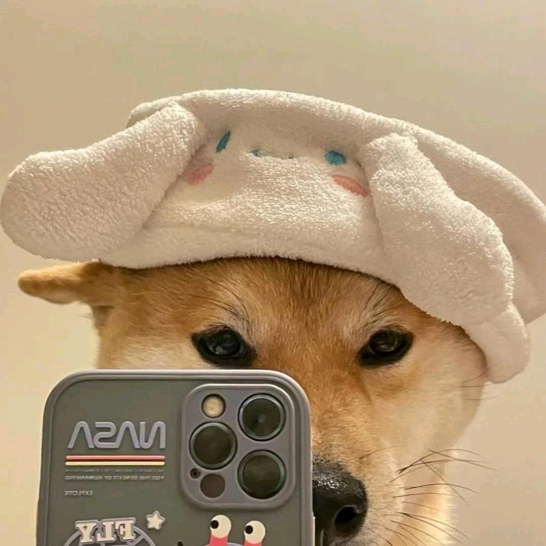 啧啧啧