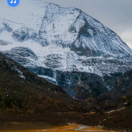 想不出来一个好听的名字