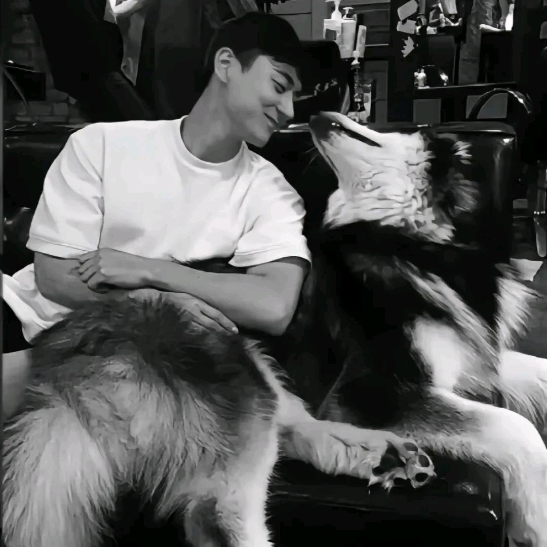 老张不练腿♛