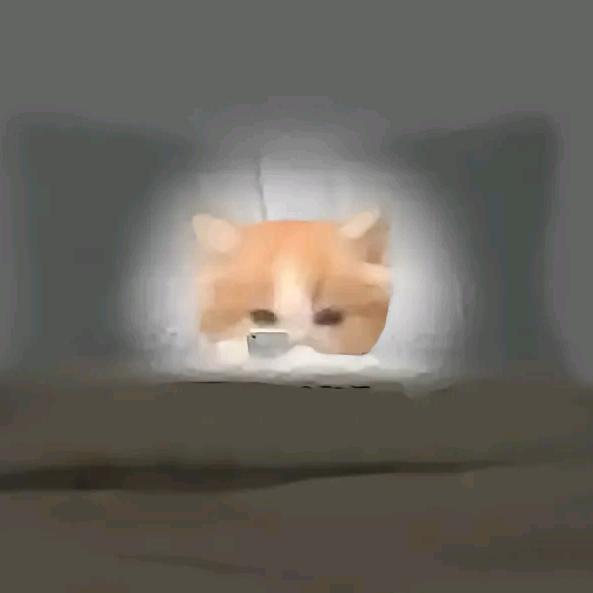 大梦初醒