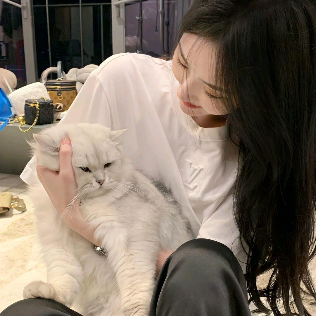 💞猫奴💞