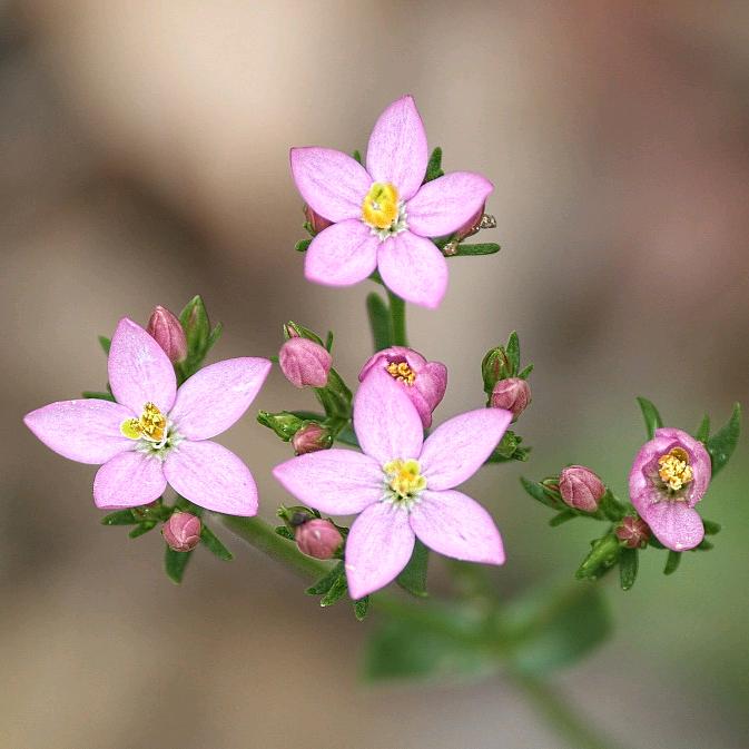 树连百货零售超市