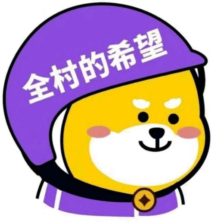 新希望（物理）199