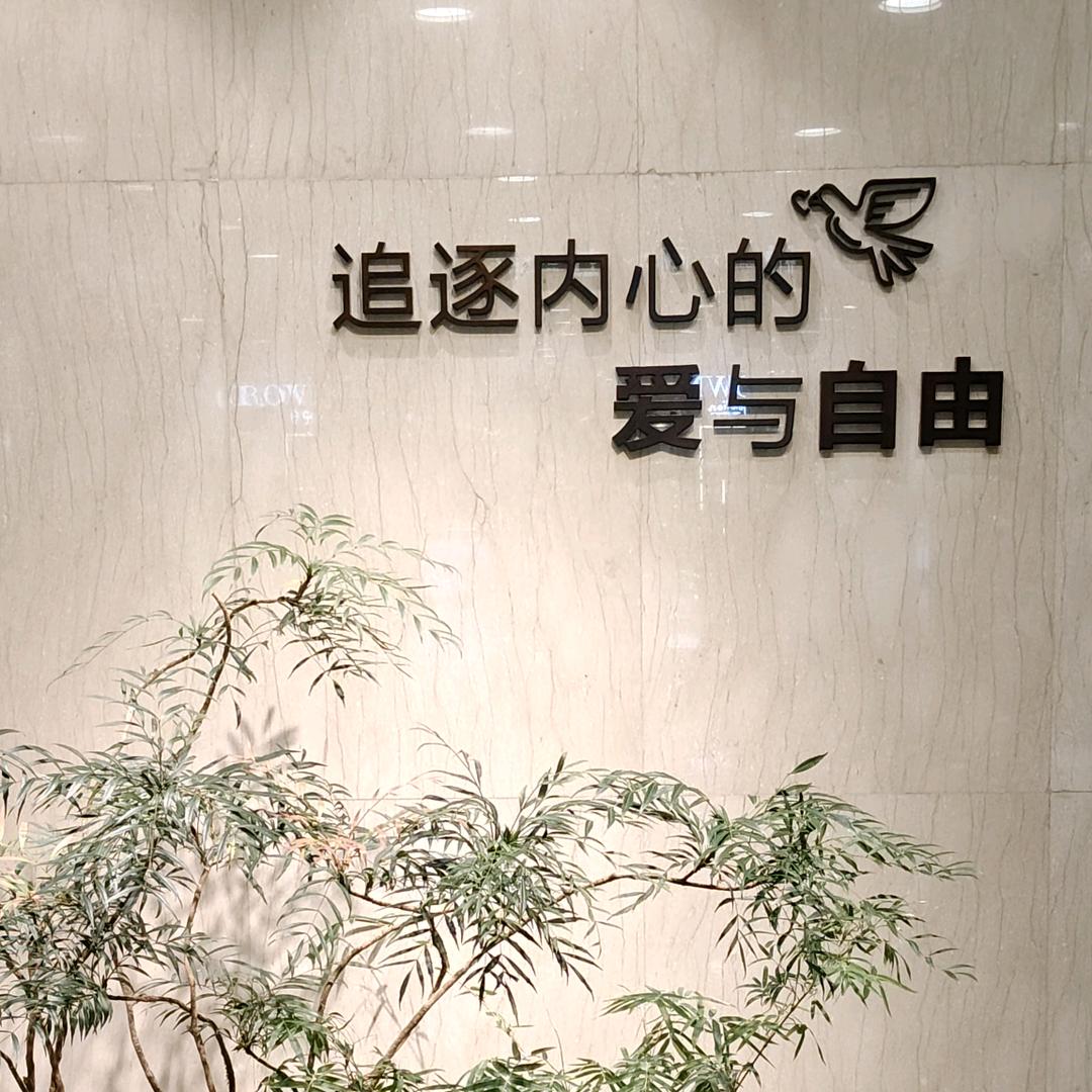 @為你停劉💪