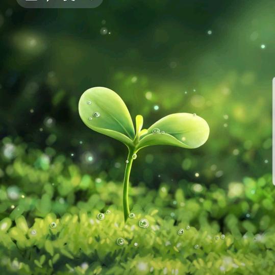 诅咒之岛•神龙在线