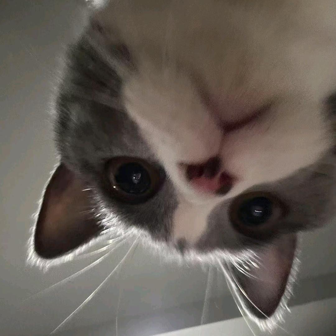 失业33天