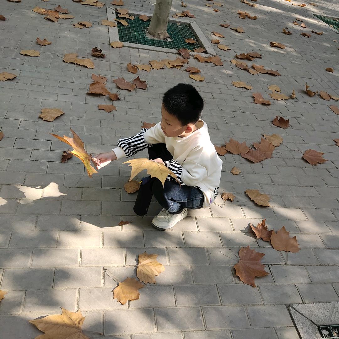 阳宝嘛嘛的日常生活