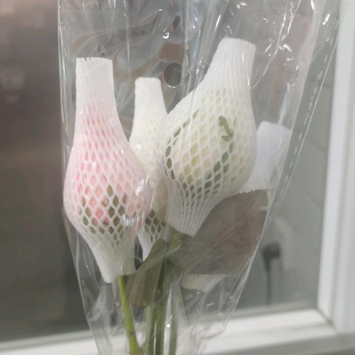 兰陵王