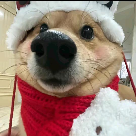 晨清𝙁𝙞𝙧𝙚🇨🇳