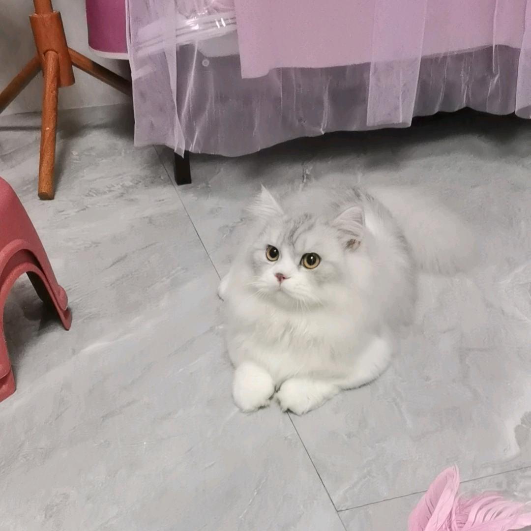 心想事陈💐共杜余生