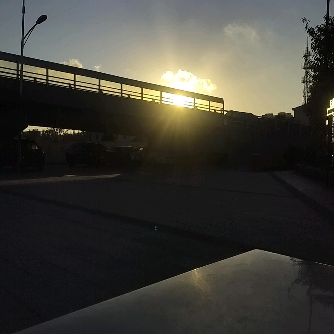29047242541