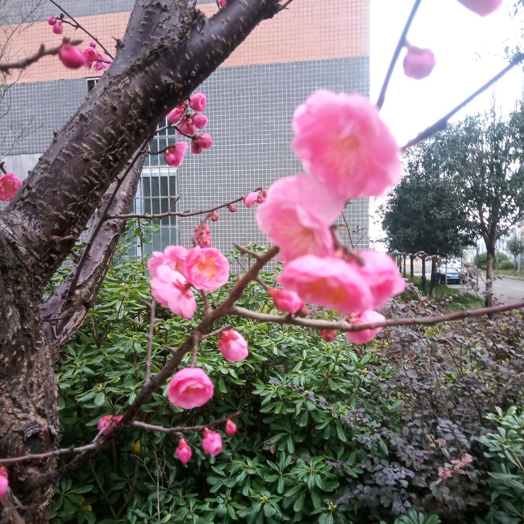 玉姐