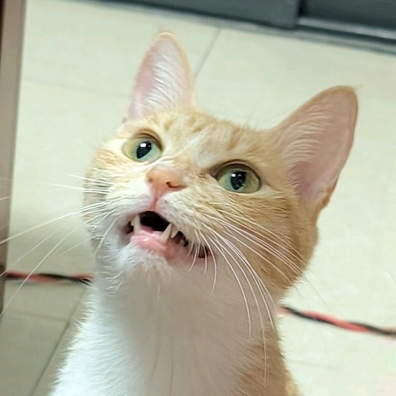 管小缘她爹