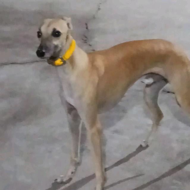 热只有你懂