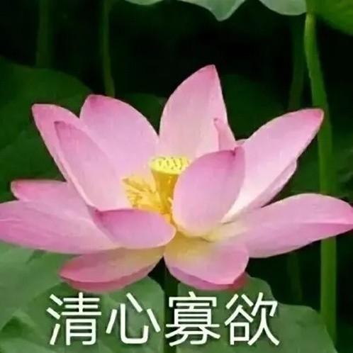 卖豆花糕的小商贩