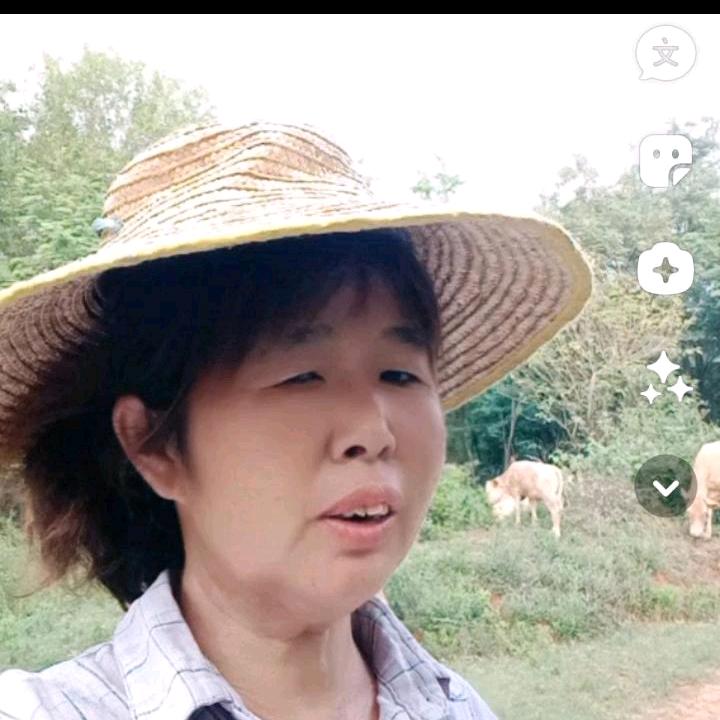 放牛姐（小号）中午1点20直播专业合作社