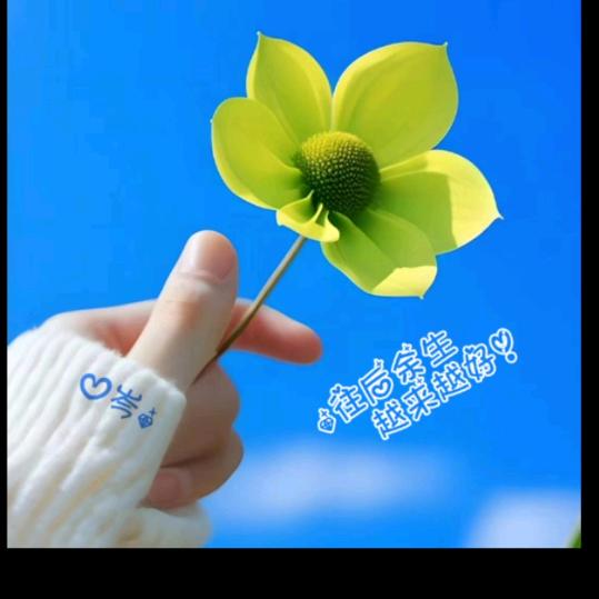 💔ꦿ໊余生᭄🕊随心᭄ꦿᩚ٭