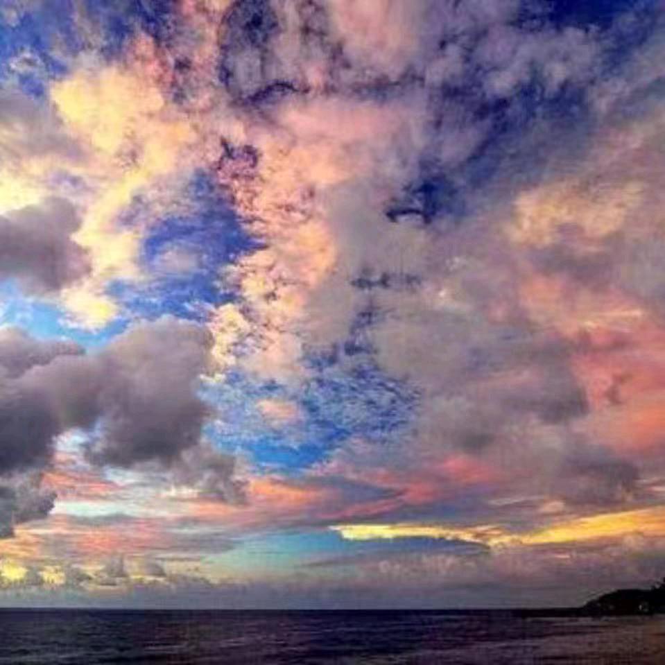 明天会更好🌻🌻🌻🌻