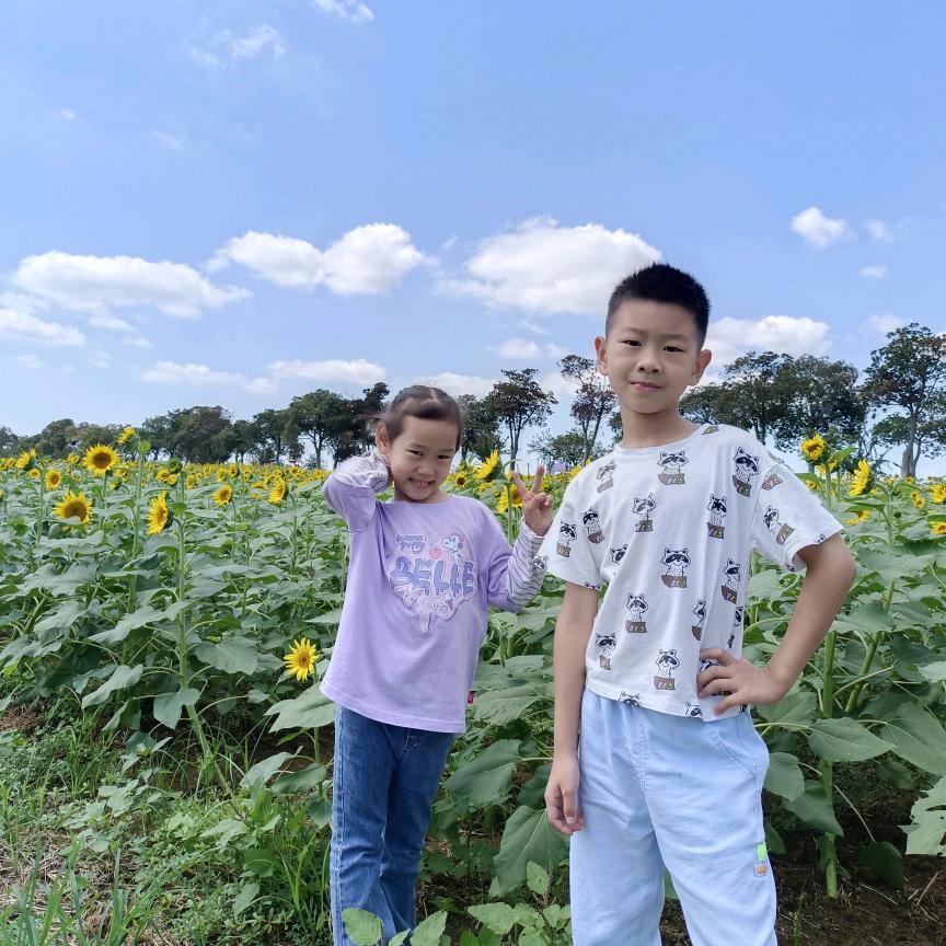 ♥木(｡￫v￩｡)子♥