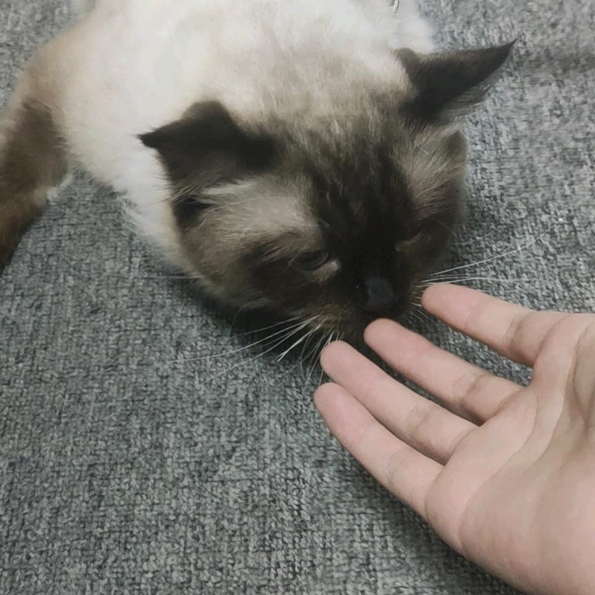 诛笔