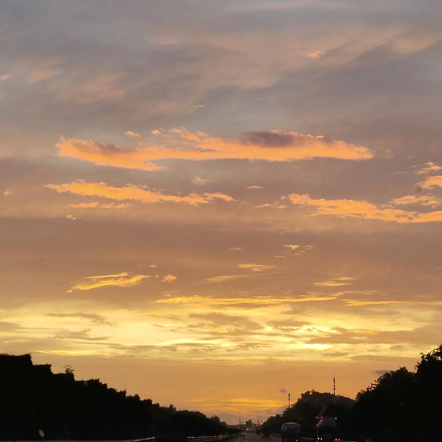 幸运草🌿萌萌哒