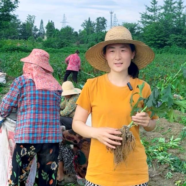江油附婆