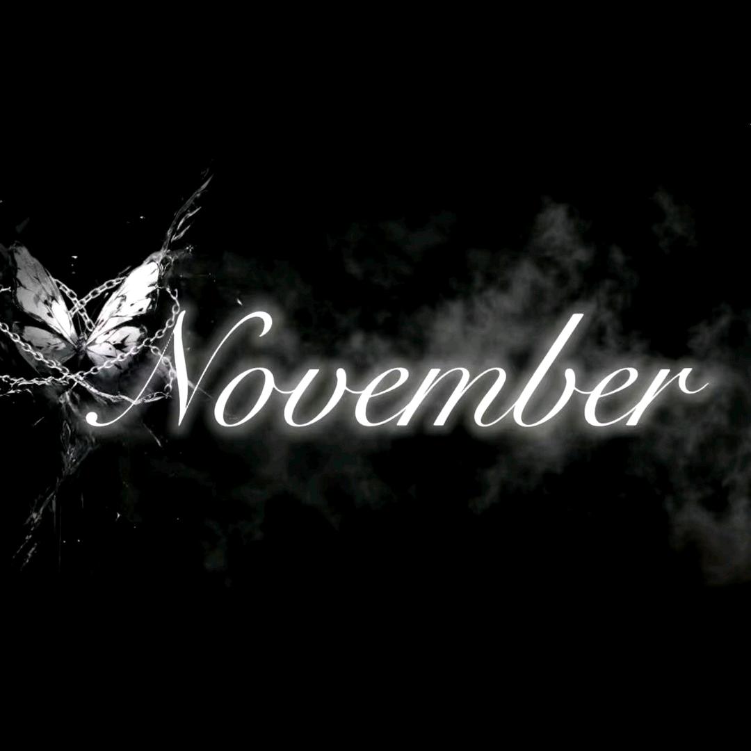 November男明星点唱✨
