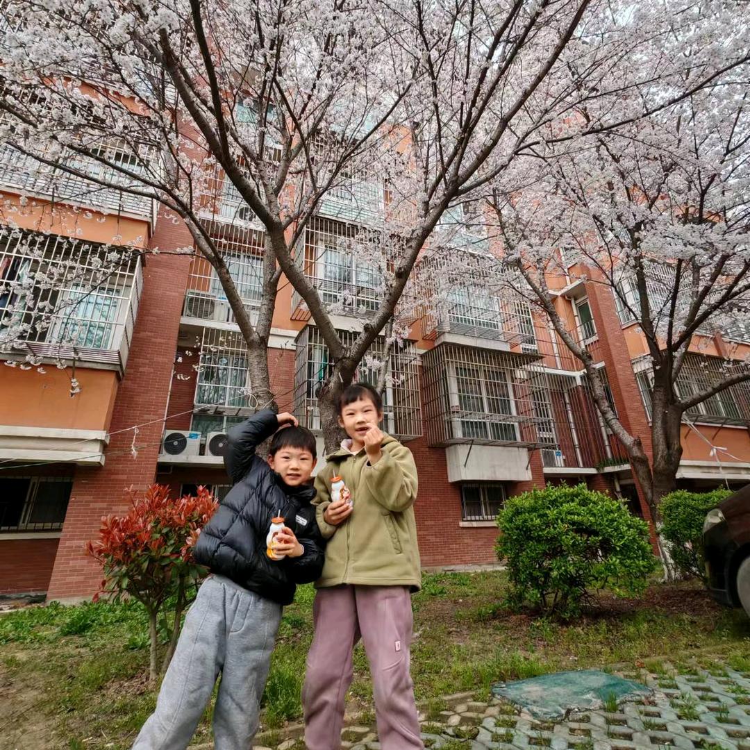 星辰日记🧚‍♀️🧚‍♀️🧚‍♀️