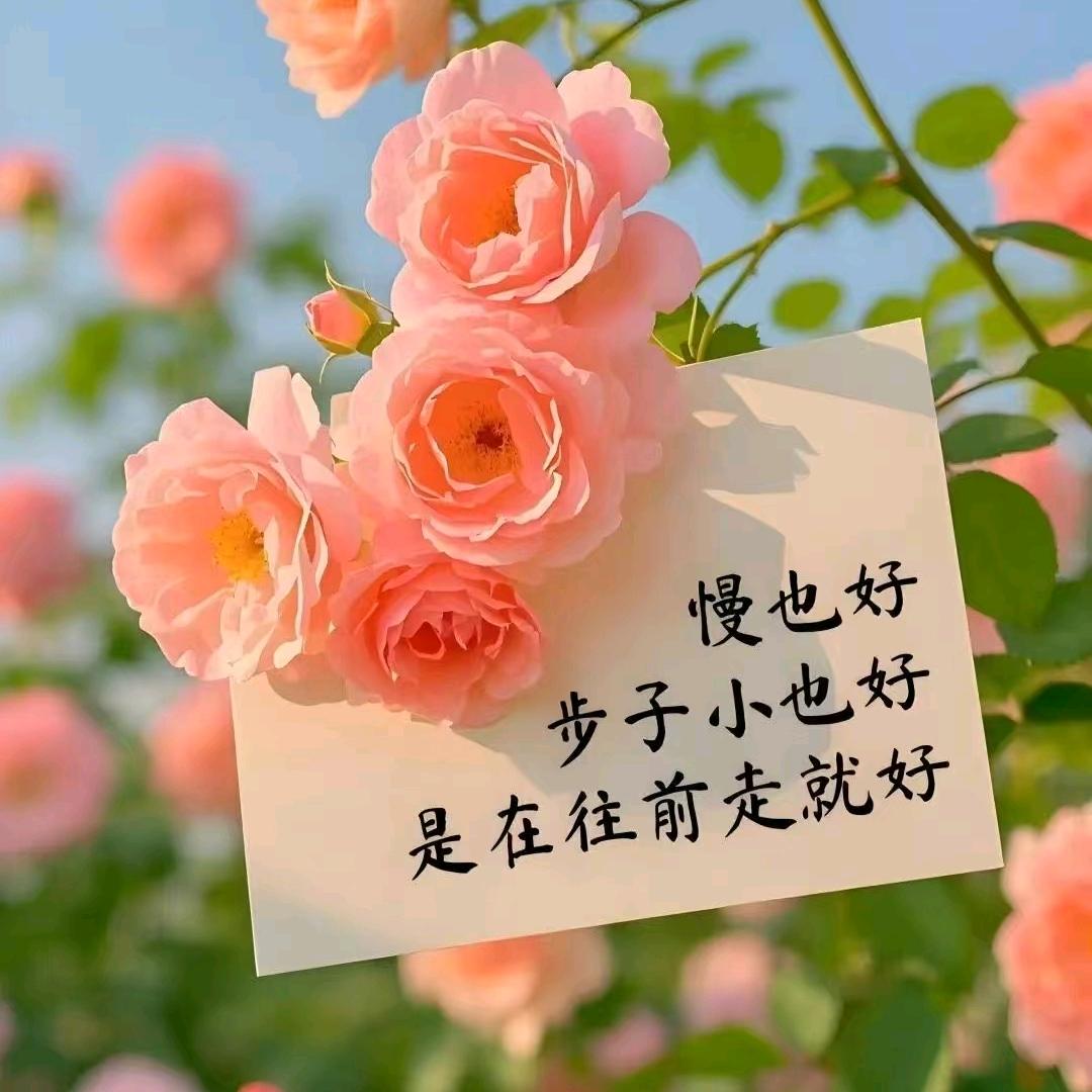 易醒难醉