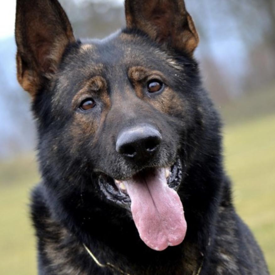 大板桥中河坝钓场