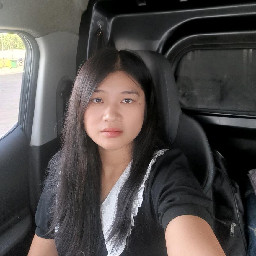 货运小笨鸟2🐦