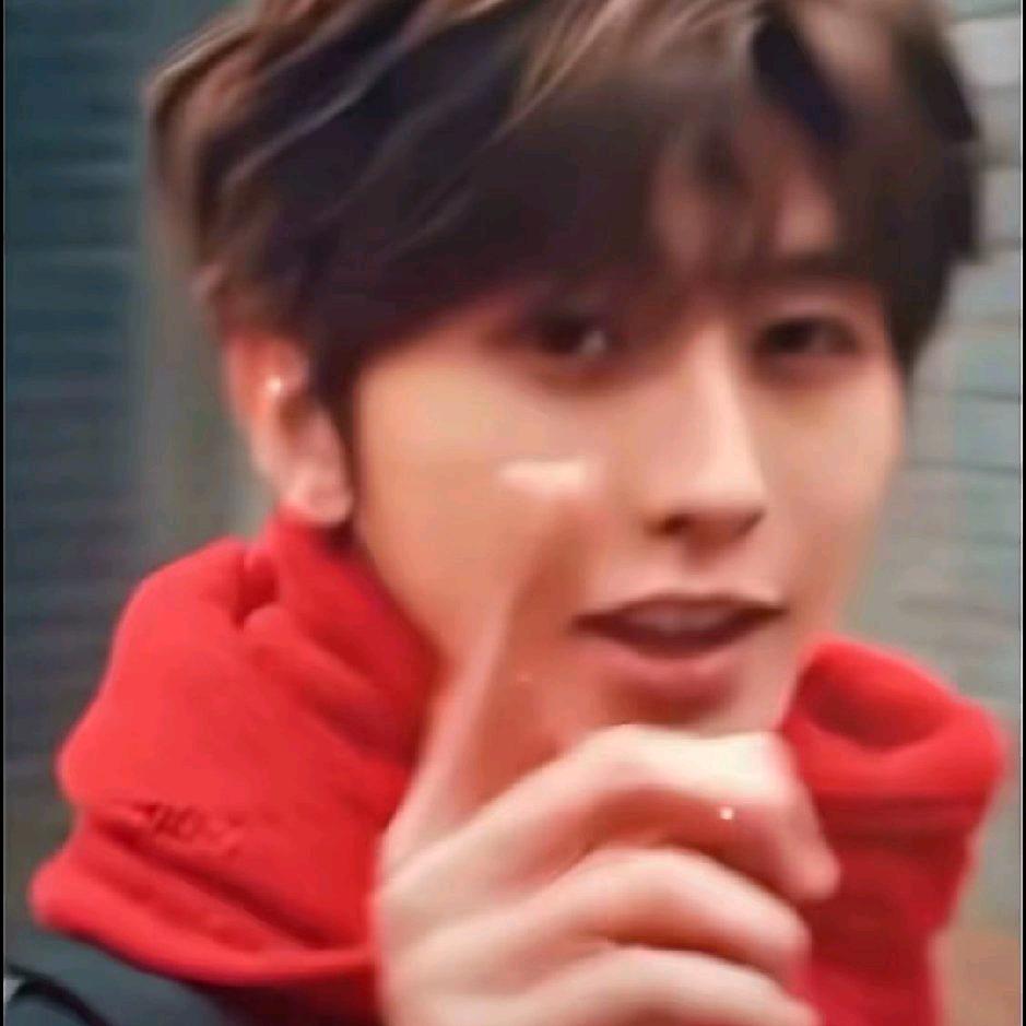 墨染栀鸢藏清妍