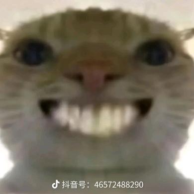 齐王夏