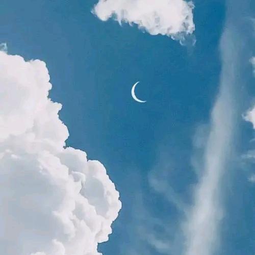 泪眼执笔墨成花