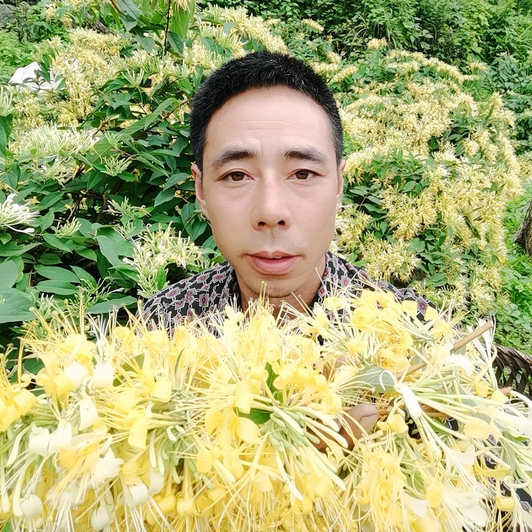 邓飞