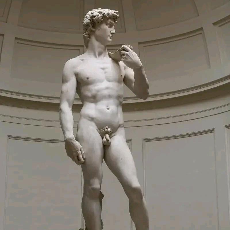 🌪为爱奋斗🤪🤪🤪