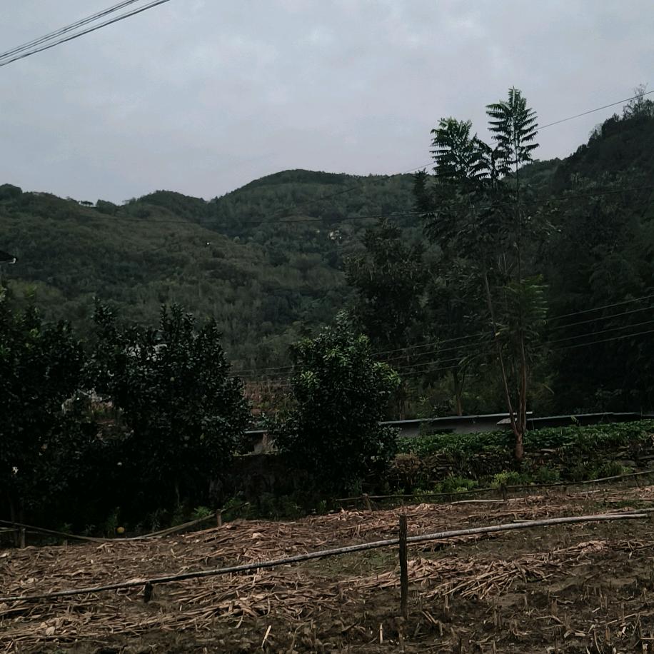 山水有相逢