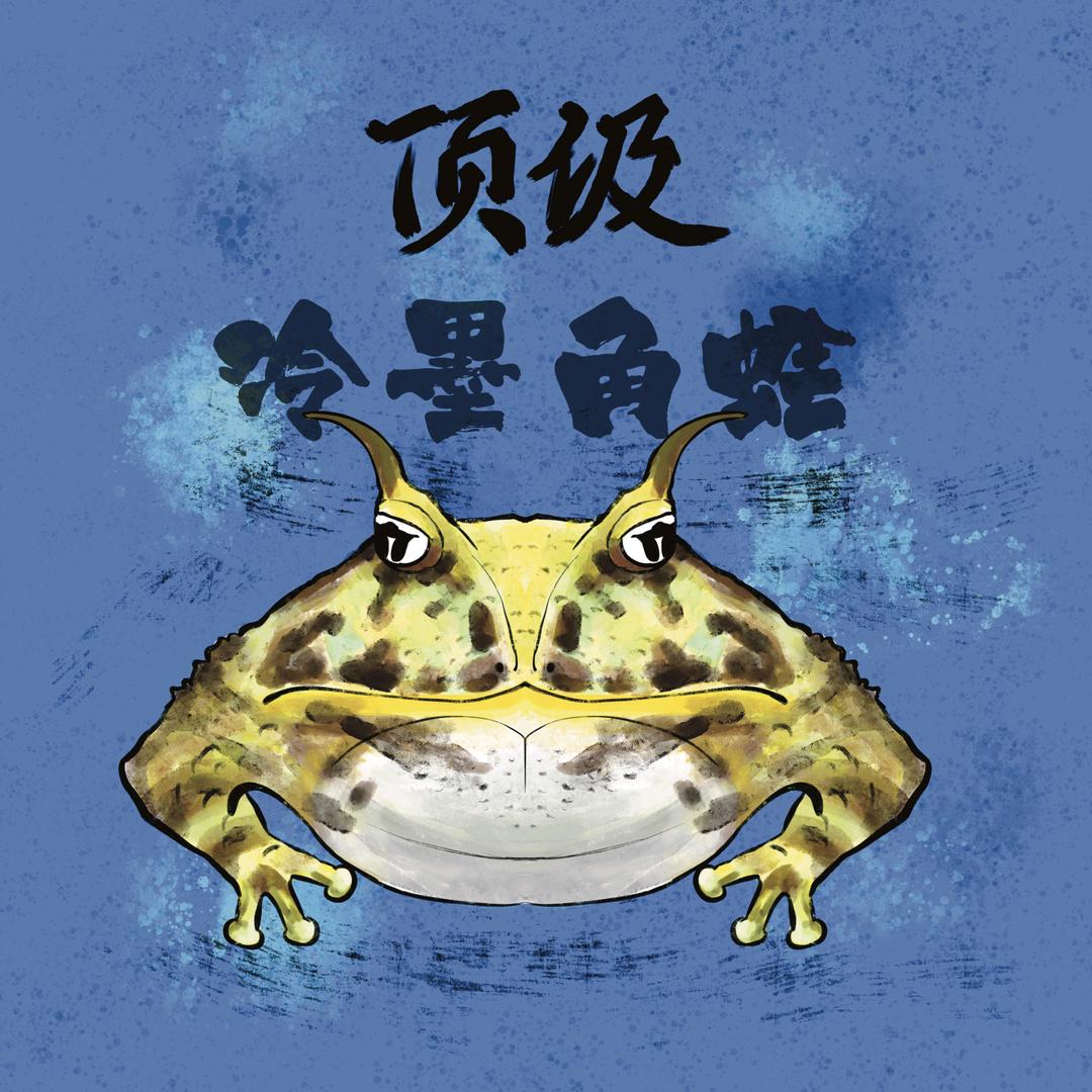 泠墨角蛙