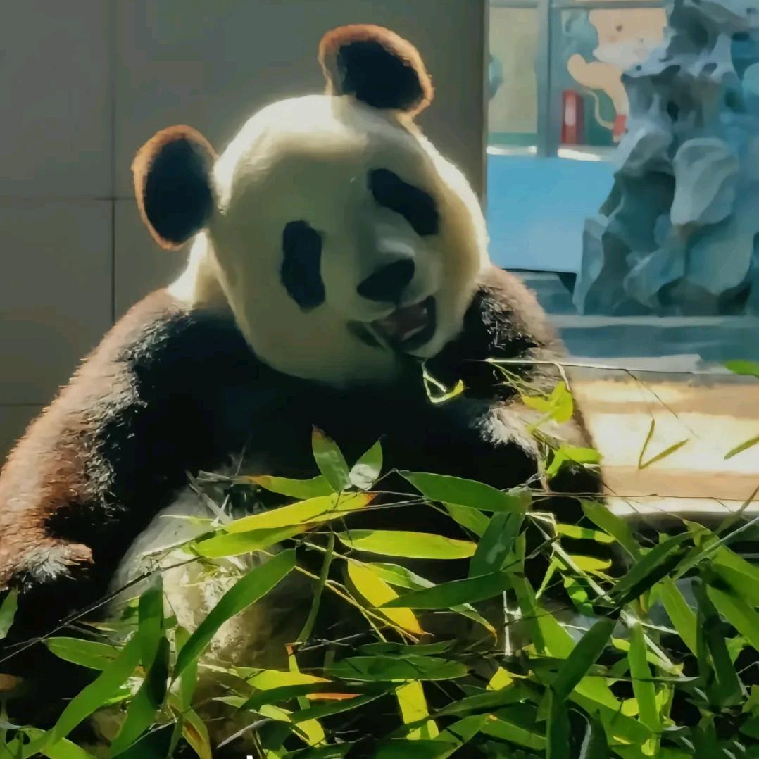 甜多多吖