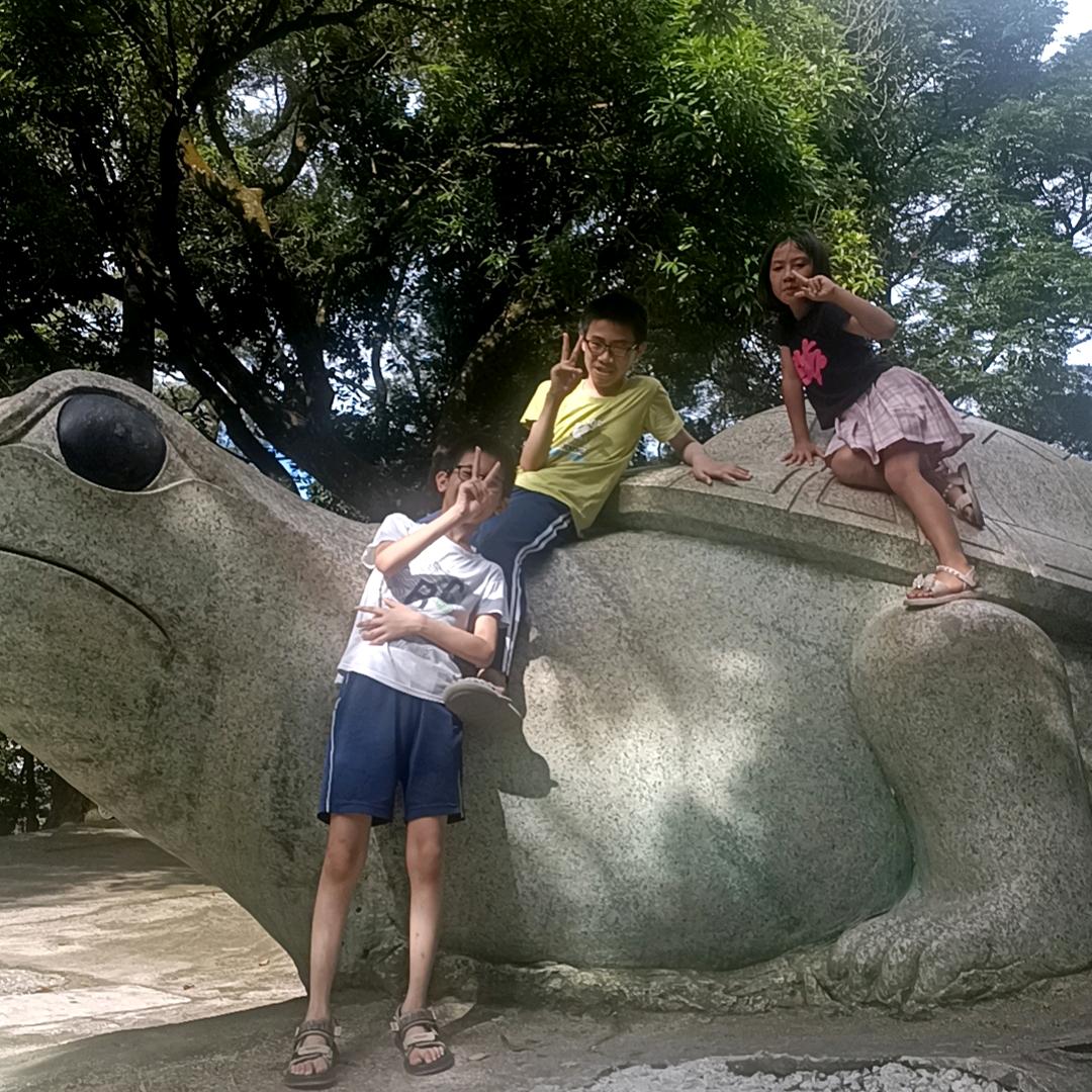 手机用户24321252570